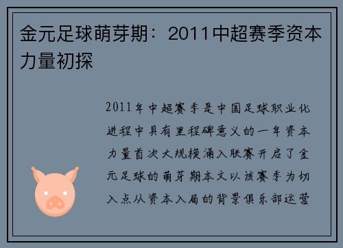 金元足球萌芽期：2011中超赛季资本力量初探